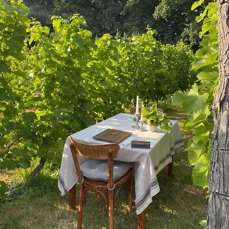 Solaris-winnica Hanna Apartment Radomierzyce