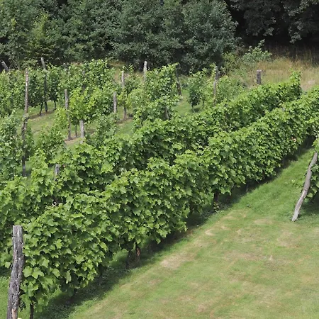 Solaris-winnica Hanna *