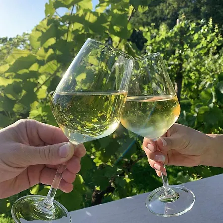 Solaris-winnica Hanna Apartment Radomierzyce