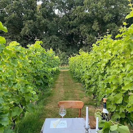 Apartment Solaris-winnica Hanna Radomierzyce