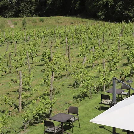 Solaris-winnica Hanna Apartment Radomierzyce