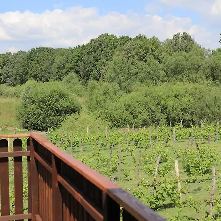 Solaris-winnica Hanna *