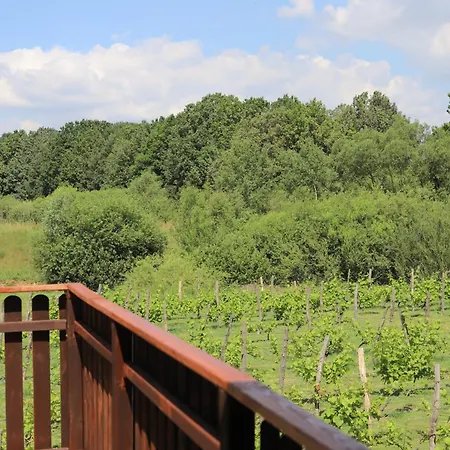 Apartment Solaris-winnica Hanna