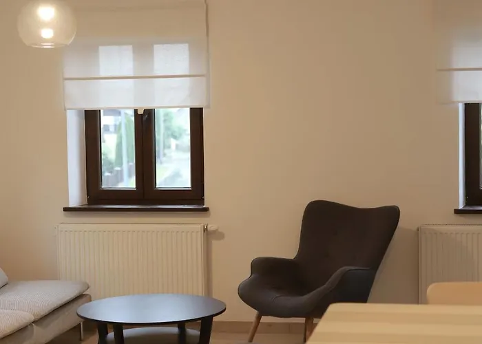 Solaris-winnica Hanna Radomierzyce