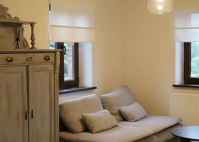 Solaris-winnica Hanna Radomierzyce