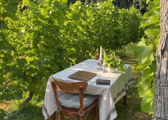 Solaris-winnica Hanna Апартаменты Radomierzyce