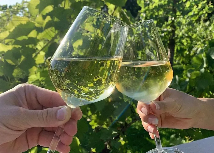 Solaris-winnica Hanna Apartamento Radomierzyce