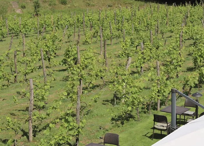 Solaris-winnica Hanna Apartamento Radomierzyce