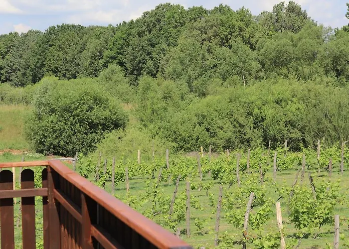 Solaris-winnica Hanna *