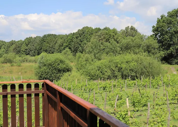 Apartamento Solaris-winnica Hanna